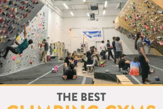 best rock climbing gyms in nyc