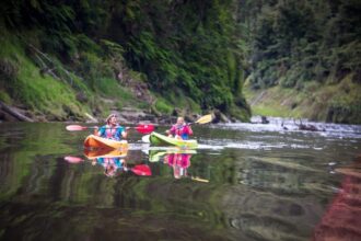 Can you explore New Zealand without a driver's license?