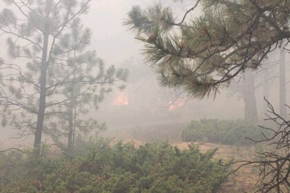 Lowline fire expands near Gunnison, Colorado, forcing evacuations