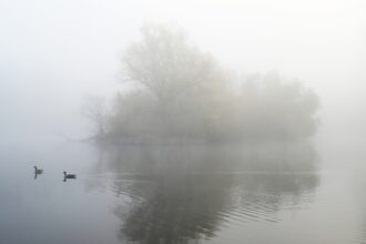 Morning fog clearing for evening thunderstorms