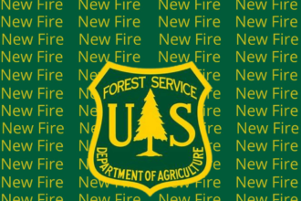 The Lowline fire in Gunnison County has burned 400 acres