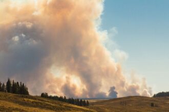 This U.S. National Park Is First To Catch Wildland Fire This Season