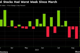 China Stocks Fall on Less-Than-Expected Support: Markets Wrap