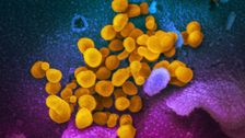 EG.5 Variant Accounted For The Majority Of U.S. COVID Cases Last Week: CDC
