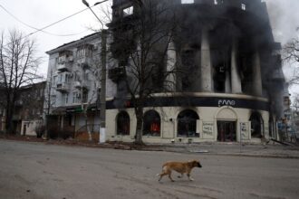 Newborn, Her Family Among 7 Killed By Russian Shelling In Ukraine