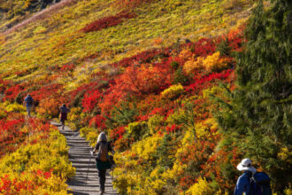 These 3 Stunning National Parks Are Best To Visit In The Fall