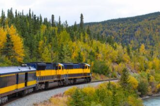 These 6 U.S. Scenic Train Rides Offer The Best Fall Views This Year 