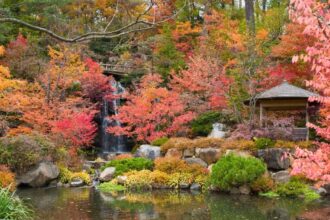 8 Best Places To Visit In Illinois In The Fall Season 2023