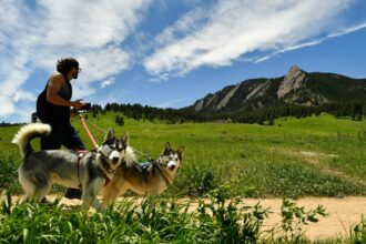 Above-normal heat, high of 84 degrees expected