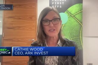 Ark CEO Cathie Wood says she avoided the Arm IPO frenzy. Here's why