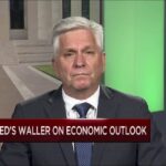 Fed Governor Waller agrees the central bank can 'proceed carefully' on interest rates