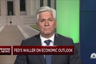 Fed Governor Waller agrees the central bank can 'proceed carefully' on interest rates