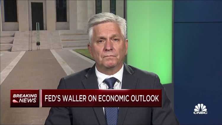 Fed Governor Waller agrees the central bank can 'proceed carefully' on interest rates