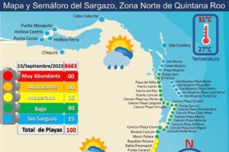 All Cancun Beaches Nearly Seaweed-Free