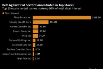 Pot Stock Rally Burns Short Sellers for $105 Million in Losses