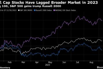 Short Sellers Reap $13 Billion on Gaps in Winner-Take-All Market