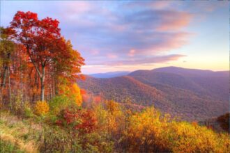 This Virginia Train Offers The Perfect Fall Journey To Witness Stunning Foliage