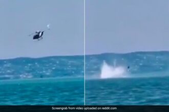 Video Captures The Moment A Police Helicopter Crashed Into A Lake In Hungary