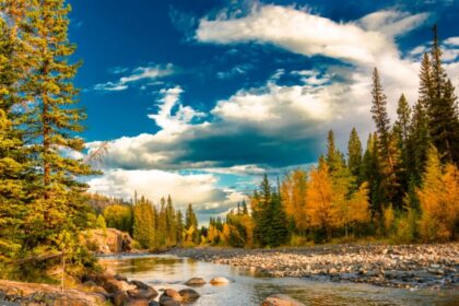 Why This Is The Most Stunning Fall Destination In The U.S. This Year