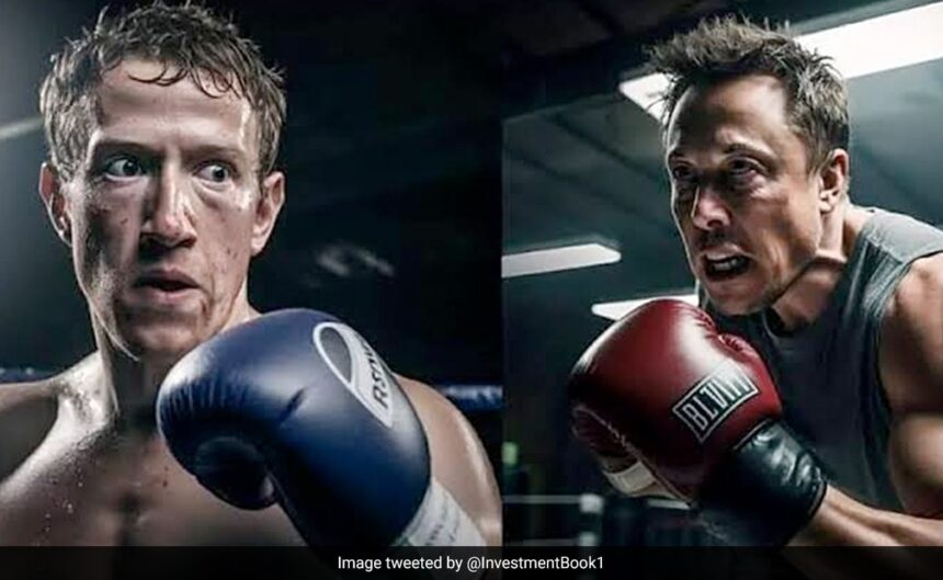 "Why Won't He Fight Me?" Elon Musk's Latest Jibe At Zuckerberg