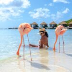 5 Reasons To Visit This Popular Caribbean Island This Winter  