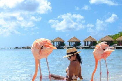 5 Reasons To Visit This Popular Caribbean Island This Winter  