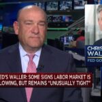 Fed's Waller says officials can 'wait, watch and see' before acting on interest rates