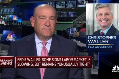 Fed's Waller says officials can 'wait, watch and see' before acting on interest rates