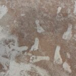 New Mexico Footprints Oldest Sign Of Humans In Americas, Evidence Suggests