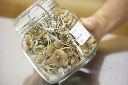 Newsom vetoes bill on psilocybin 'magic' mushrooms, but leaves door open