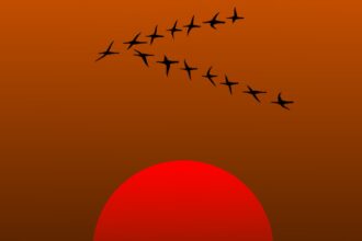 Severe Space Weather Lowers Migratory Birds By Nearly 20%, Affects Others