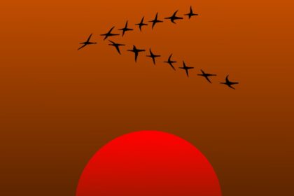 Severe Space Weather Lowers Migratory Birds By Nearly 20%, Affects Others