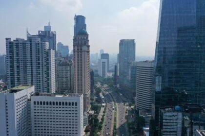 The De-risking State in Southeast Asia