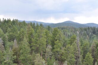 Chicago family rescued from Greenhorn Mountain in southern Colorado