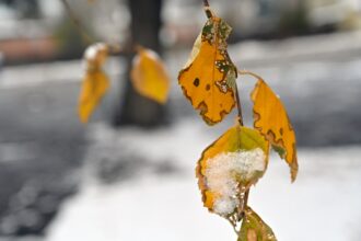 Colorado snow totals for November 25, 2023 – The Denver Post