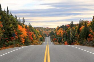 Ontario's TOP 3 Scenic Fall Road Trips For Spectacular Foliage