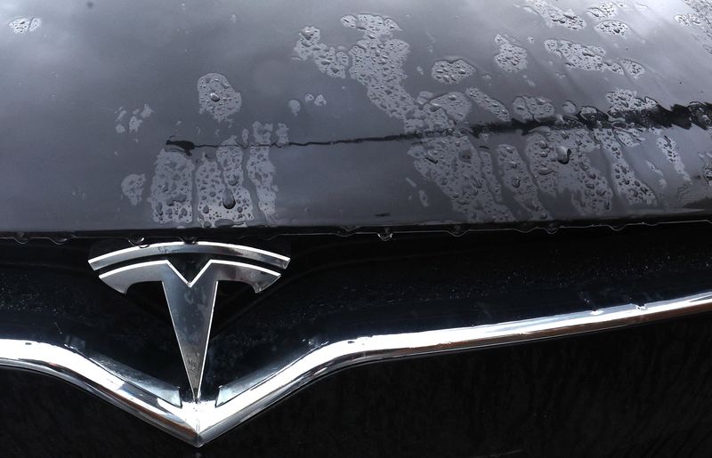 Tesla sues Sweden over blocked license plates, business daily DI reports