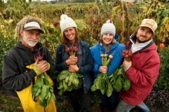 The future of food is banking on climate-resistant seeds