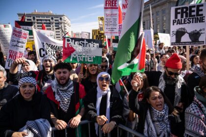 Thousands Gather In Washington, DC For Gaza Cease-Fire: See Photos