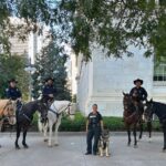 3 horses in Denver sheriff's mounted patrol died of colic in 2023