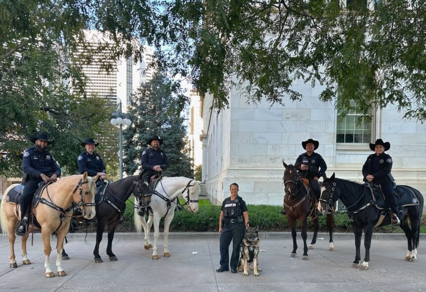 3 horses in Denver sheriff's mounted patrol died of colic in 2023