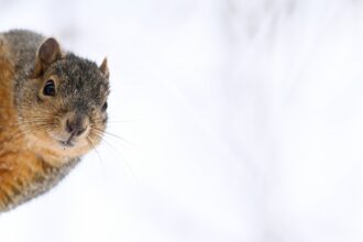 Colorado snow totals for December 13, 2023