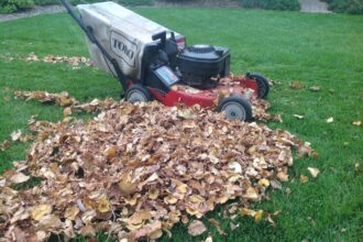 Colorado unlikely to ban sales of gas-powered lawn equipment