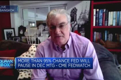 Fed should cut rates at least 5 times next year, portfolio manager says