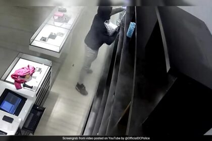 Video Shows How Thieves Robbed $250,000 Worth Of Merchandise From Chanel Store In US