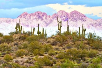 10 Best Places To Visit In Arizona State This Winter