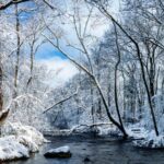 Best Places To Visit In Tennessee State in Winter