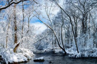 Best Places To Visit In Tennessee State in Winter