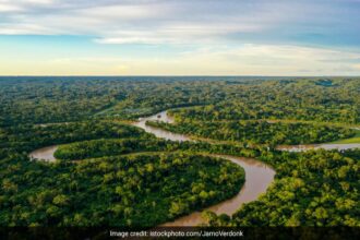 3,000-Year-Old City Hidden In Amazon Rainforest Discovered