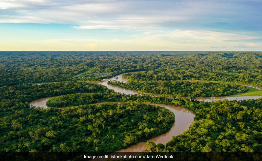 3,000-Year-Old City Hidden In Amazon Rainforest Discovered